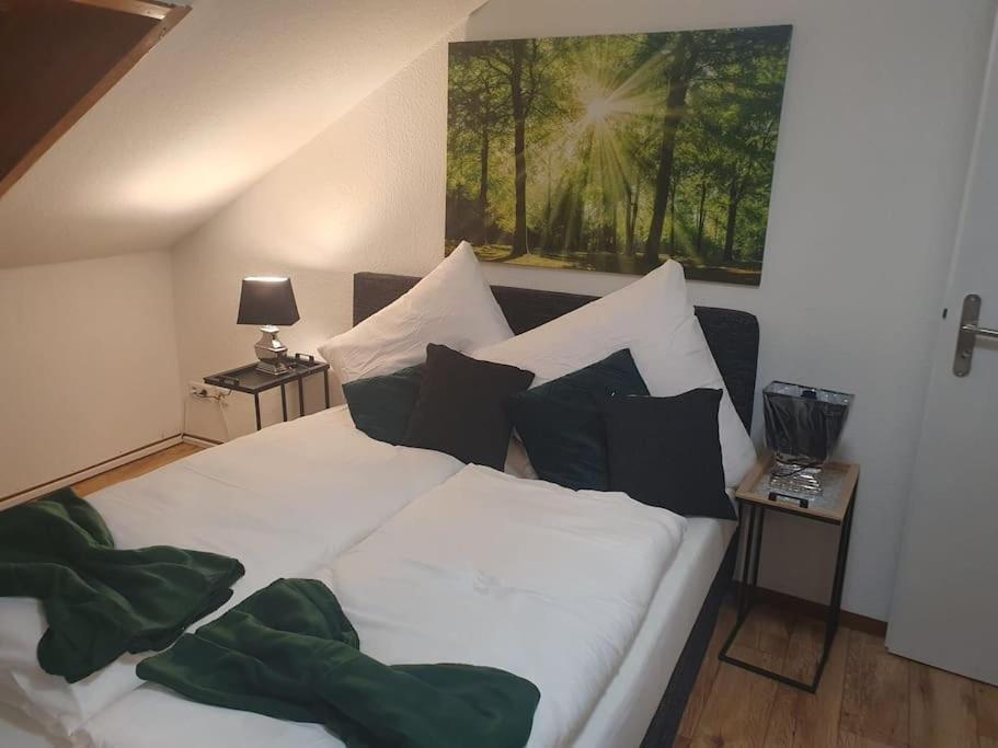 Waterfalls Apartment Triberg im Schwarzwald Exteriér fotografie